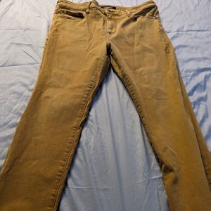 Express Khaki Pants